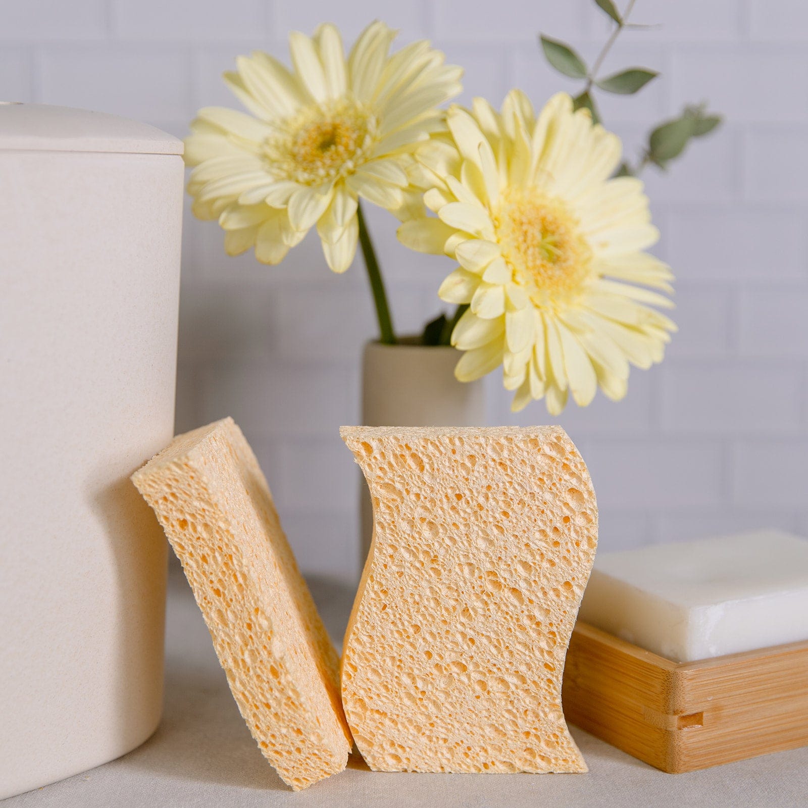 Biodegradable Kitchen Sponges - Zero Waste Sponges, 100% Wood Pulp